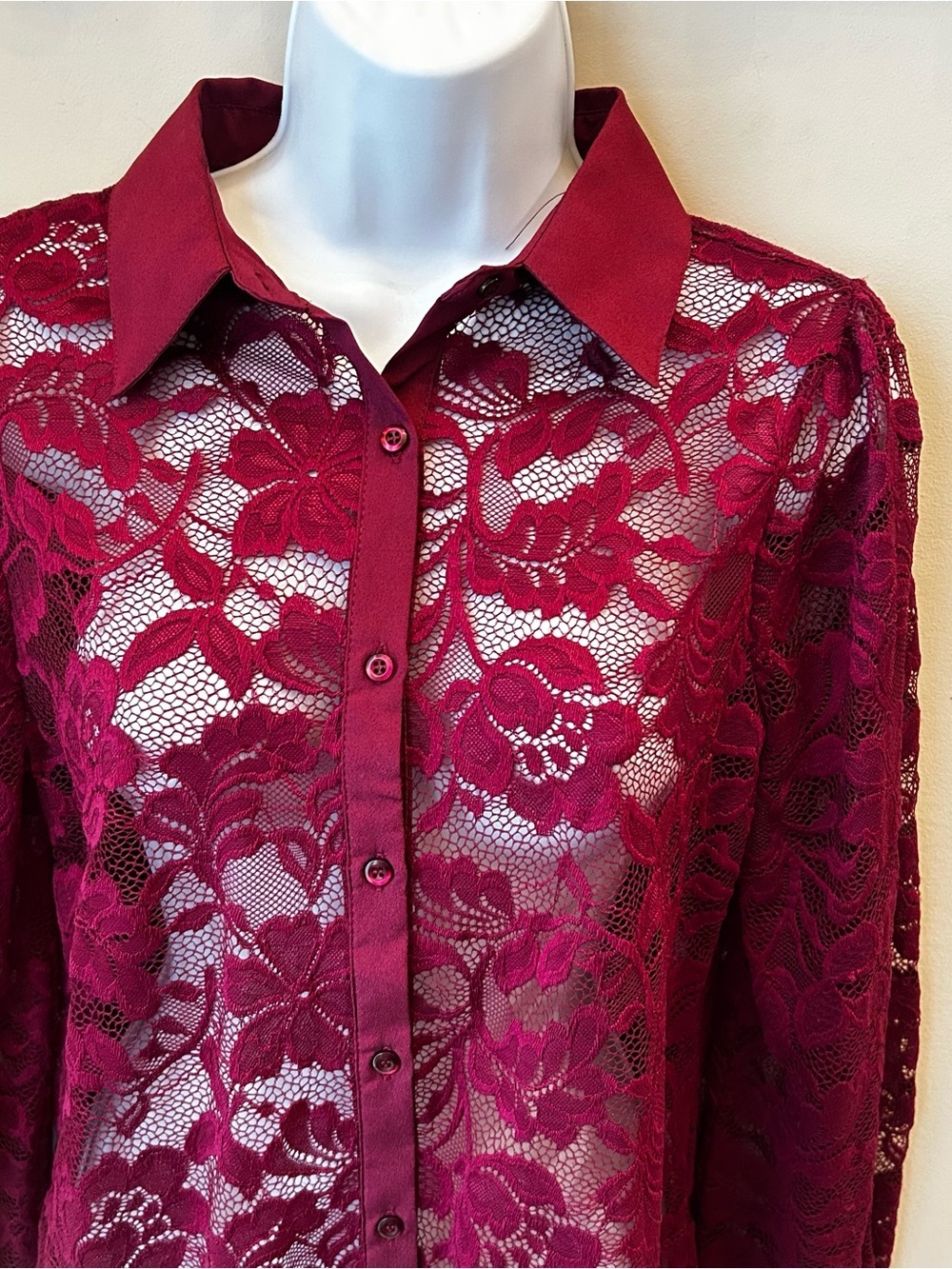 BNWT Sheer Lace Blouse Beet Colour Office Siren Size Small